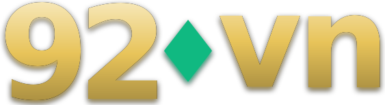920vn logo